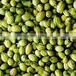 Dried Coriander Seed thumbnail-2