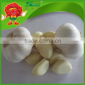 Factory Price Dry Garlic thumbnail-2