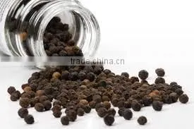 Black Pepper Indonesia thumbnail-6