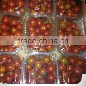 Fresh Tomatoes thumbnail-1