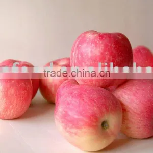 Red Chinese FUJI Apple thumbnail-1