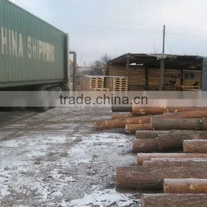 Timber From Sawmill thumbnail-1