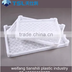 2017 the Plastic Useful Freezer Tray for Kebab thumbnail-2