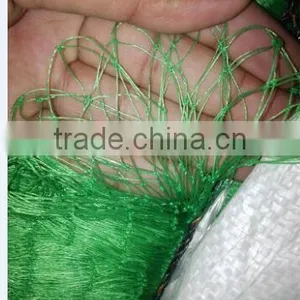 PE Nets Anti Bird Netting(Extruded) thumbnail-6