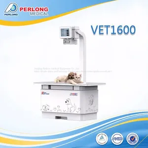 Ветеринарная клиника использует цифровую рентгеновскую аппаратуру VET1600 thumbnail-1