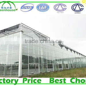 Wind Span Glass Greenhouse thumbnail-1