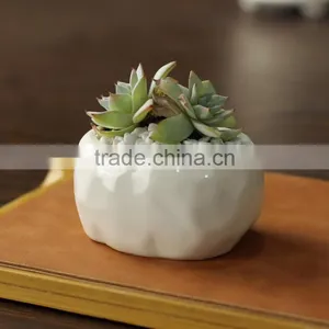 New Design Oval Stone Grain Ceramic Product Small White Flower Pot thumbnail-2