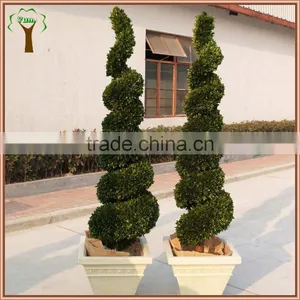 Commercial Decorative Preserved Spiral Boxwood Topiary thumbnail-2