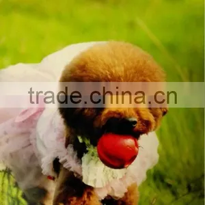 EVA Foam Dog Pet Products Pet Toy Pet Balls thumbnail-1