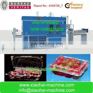 HAS VIDEO PS PP PET Disposable Plastic Food Container Machine thumbnail-3