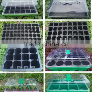 Garden Plastic Seed Planter Tray for Greenhouse--RGR1066 thumbnail-2
