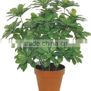 Kinds of Artificial Plants thumbnail-1