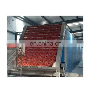 Best Selling Red Chilli Drying Machine /fruit Drying Machine thumbnail-2