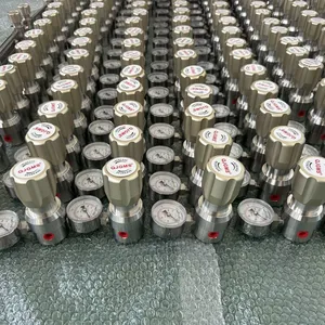 Stainless Steel Single-gauge Pressure Reducing Valve for High-Corrosion Environments thumbnail-1