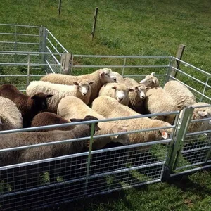 Farm Livestock Animal Cheap Cow Rail Fence / Metal Fence Panel Cattle Sheep Fence thumbnail-5