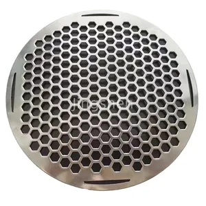 Custom Powder-coated Hexagonal Perforated Metal Speaker Grille, Outdoor Speaker, Honeycomb Metal Speaker Grille thumbnail-4