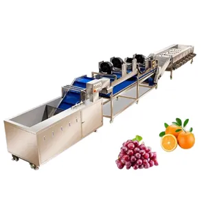 Sorting Grading Machine for Large Fruit Grapefruit Pomelo Cantaloupe Coconut Fruit Weight Classifier Fruit Processing Line Optical Sorter thumbnail-1