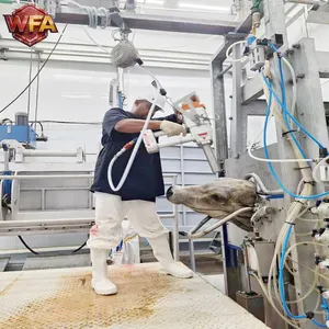 Stainless Steel Pig Bleeding Trough Automatic Pig Hair Removing Machine Pig Slaughter Equipment For Sale thumbnail-3
