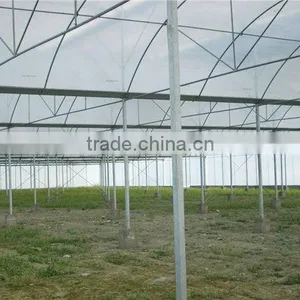 Hot Galvanized Multi-span Double Layer Plastic Greenhouse thumbnail-1