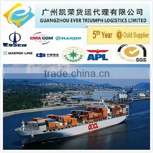 Sea Freight DDU Shipping Service From China to Jakarta thumbnail-1