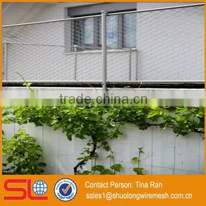 2mmx50mm Stainless Steel Rope Mesh Green Wall thumbnail-1
