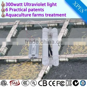 Top Selling Products in 300watt Germicidal uv Lamp for Aquafarm thumbnail-1