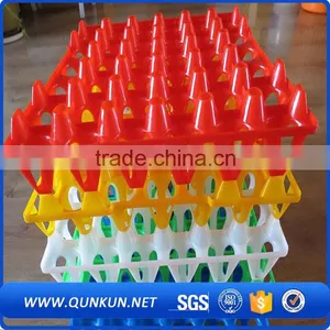 Buy Now Quail Eggs Tray Packing thumbnail-3