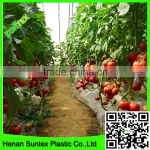Heavy Duty Long-lasting Flexible Growing Tomatoes Support Net thumbnail-1