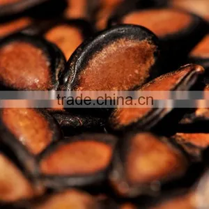 Watermelon Seeds thumbnail-1