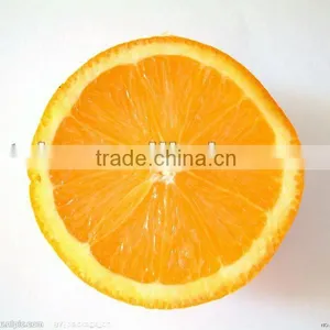 Navel Orange thumbnail-1