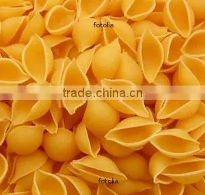 2015 Hot Selling Stainless Steel Automatic Macaroni Noodle Machine thumbnail-5