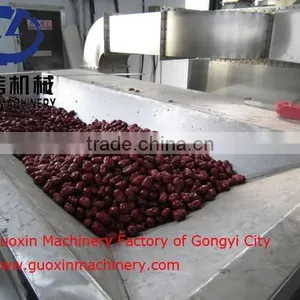 High Quakity Fruit Dryer Machine With Best Service thumbnail-6