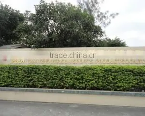 Quanzhou Trisun Sports Products Co., Ltd. company overview - view 2 thumbnail