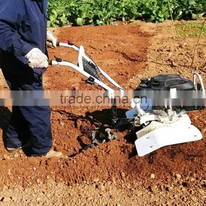 Banana Cultivation Tractor Chisel Plough Garden Ploughs Rotary Plough for Walking Tractor thumbnail-3