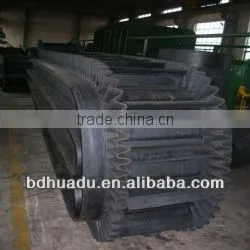Long Working Life Endless Conveyor Belt thumbnail-1