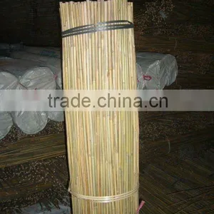Bamboo Stake - Tonkin Cane - Bamboo Cane thumbnail-1
