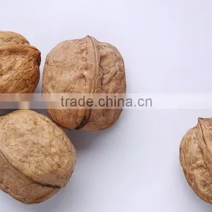 Supply Walnut Kernel, Walnut in Shell With High Quality thumbnail-4