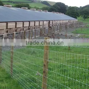 Grassland Fence Machine for Sale thumbnail-6