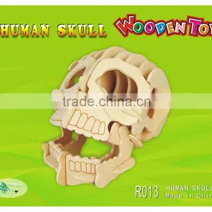 Human Skull thumbnail-1