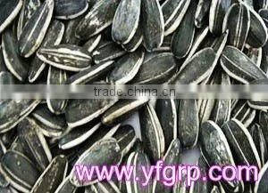 David Sunflower Seeds thumbnail-1