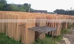 E1 Grade Poplar Core Bintangor Veneer Plywood for Furniture thumbnail-1