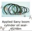 Sany Parts C120 and 5390 Transfer Case Input Shaft & Nut Concrete Pump Spare Parts for Putzmeister Zoomlion Schwing Stetter thumbnail-4