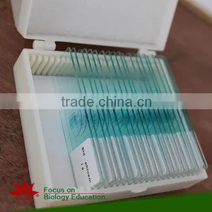 Microscope Prepared Slides ,Stem Slides, Stem of Abnormal Condition Prepared Slides thumbnail-3