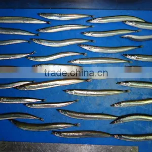 Frozen San Eel thumbnail-1