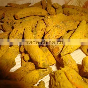 Sell Good Quality Organic Erode Dried Turmeric Finger thumbnail-1