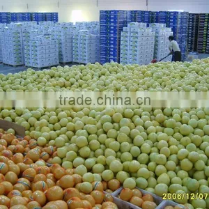 2015 Crop Fresh Honey Pomelo Pack 15kg Fruit Carton Box thumbnail-4