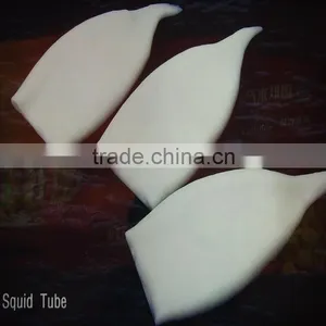 Frozen Squid Price Very Competitive thumbnail-1