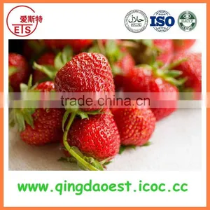 For Sale Best Quality Whole Fresh Strawberry thumbnail-6
