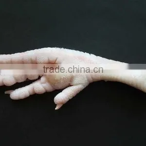 Frozen Chicken Feet thumbnail-1
