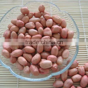 Groundnut Peanut Kernels thumbnail-2
